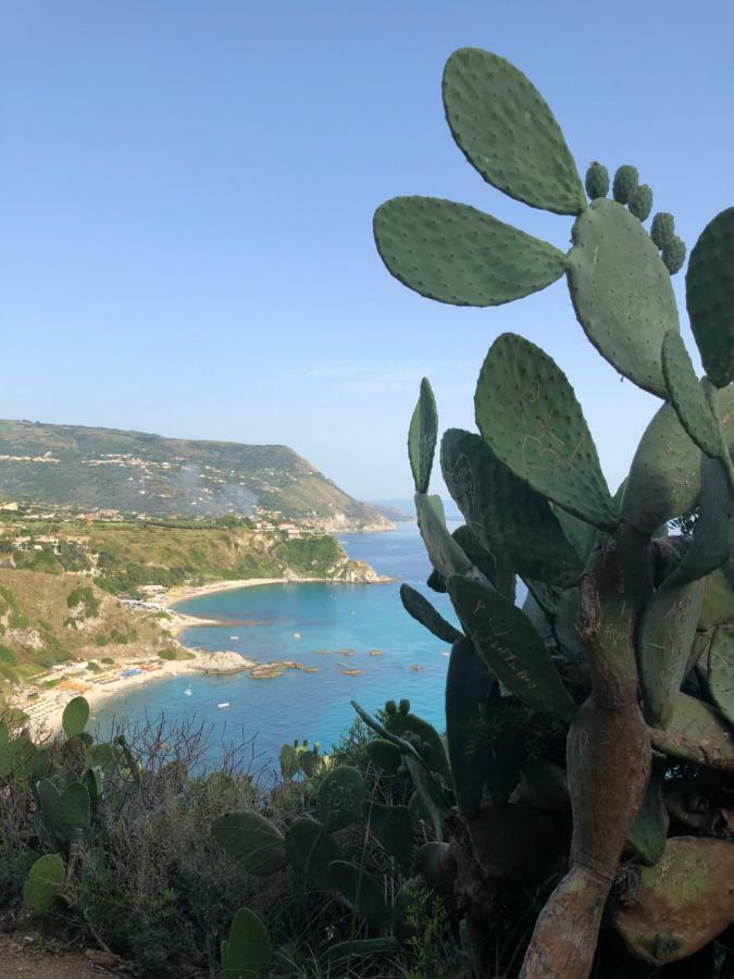 Apartament La Marinette Tropea Zewnętrze zdjęcie